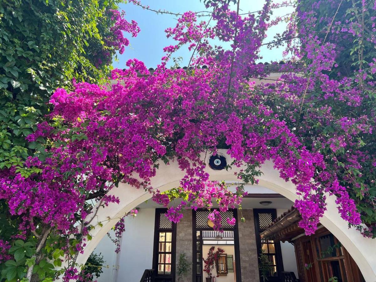 Palma Rosa Hotel Camyuva Exterior foto